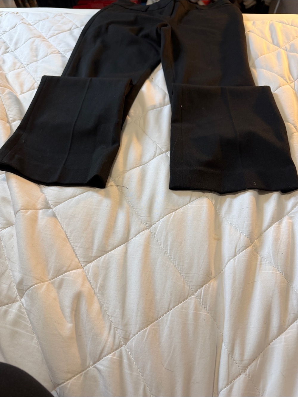Express Black Boot Cut Flare Pants